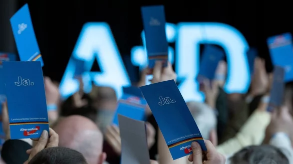 Das Umfragehoch f&uuml;r die AfD und das gleichzeitige Zustimmungstief f&uuml;r die Ampel-Regierung haben in Berlin eine Diskussion &uuml;ber die Ursachen ausgel&ouml;st. - &copy; Hendrik Schmidt/dpa