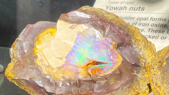 Ein unbearbeiteter Opal, der von seinem Muttergestein umgeben ist, sticht als Exponat der National Opal Collection hervor. - © Michelle Ostwald/dpa