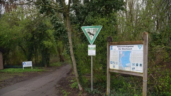 Ein Zugang zu einem Sumpf-Waldgebiet in Kaarst. - &copy; Alex Forstreuter/dpa