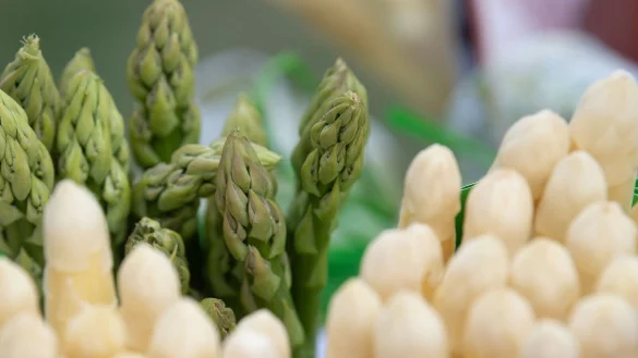 Es gibt Anzeichen, dass die Deutschen langsam aber sicher dem weißen Spargel den Rücken kehren. - © Sebastian Christoph Gollnow/dpa