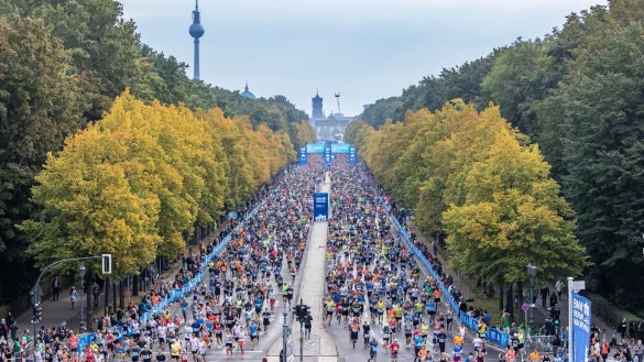 Die Veranstalter rufen zu einem st&ouml;rungsfreien Berlin-Marathon auf. - &copy; Andreas Gora/dpa
