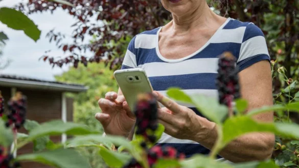 S&auml;en, pflegen, ernten: Timing ist alles im Pflanzen-Business. Wie gut, dass auch hier das Smartphone weiterhilft. - &copy; Christin Klose/dpa-tmn
