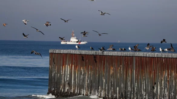 V&ouml;gel auf dem Grenzzaun zwischen Mexiko und den Vereinigten Staaten, wo die Grenze auf den Pazifischen Ozean trifft. - &copy; Marco Ugarte/AP/dpa