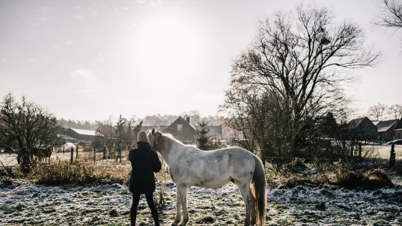 Einem Pferd sollte man sich langsam n&auml;hern und es vorsichtig aufhalftern. - &copy; Zacharie Scheurer/dpa-tmn