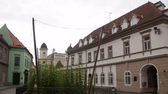Selbst mitten in Zatec w&auml;chst ein kleines Hopfenfeld (Archivbild). - &copy; picture alliance / dpa-tmn