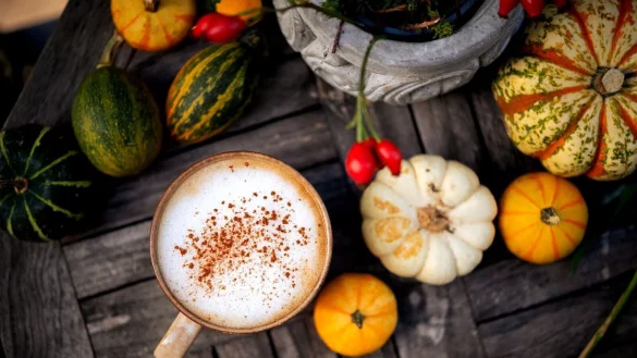 Besonders beliebt im Herbst: ein selbst gemachter Pumpkin Spice Latte. - © Zacharie Scheurer/dpa-tmn