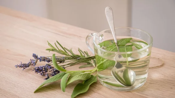 Die richtigen Kr&auml;uter k&ouml;nnen Beschwerden zwar nicht wegzaubern. Aber sie unterst&uuml;tzen die Genesung. - &copy; Christin Klose/dpa-tmn