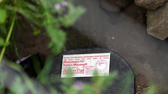 Solche K&ouml;der-Fallen helfen bei der Rattenbek&auml;mpfung. - &copy; Soeren Stache/dpa