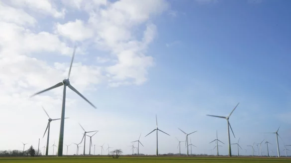 Windenergieanlagen stehen auf einem Feld. - &copy; Marcus Brandt/dpa/Symbolbild