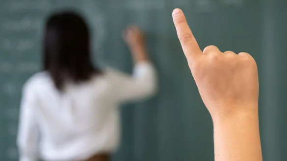 Ein Sch&uuml;ler meldet sich, w&auml;hrend die Lehrerin an die Tafel schreibt. - &copy; Marijan Murat/dpa/Symbolbild