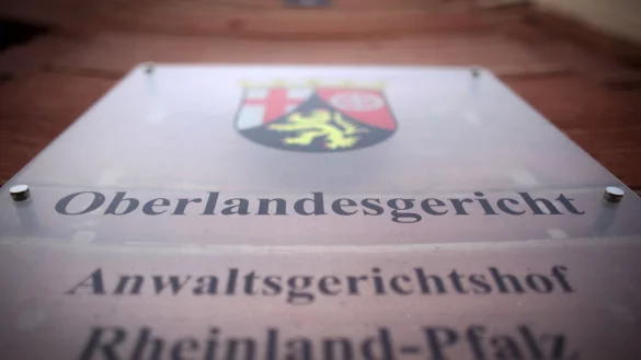 Im Oberlandesgericht in Koblenz wurde eine 37-jährige Frau zu einer Haftstrafe verurteilt. - © Fredrik von Erichsen/dpa