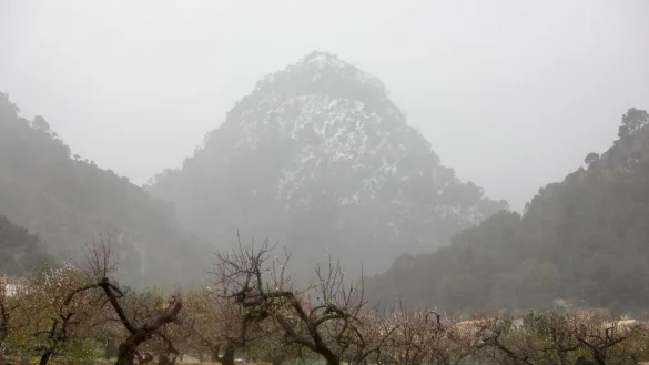 Schnee auf dem Gebirgszug Serra de Tramuntana im Nordwesten Mallorcas. - &copy; Clara Margais/dpa