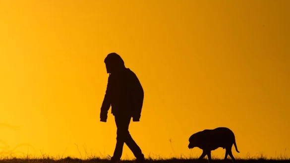 Ein Mann spaziert mit einem Hund bei Sonnenaufgang &uuml;ber einen Feldweg. - &copy; Julian Stratenschulte/dpa/Symbolbild
