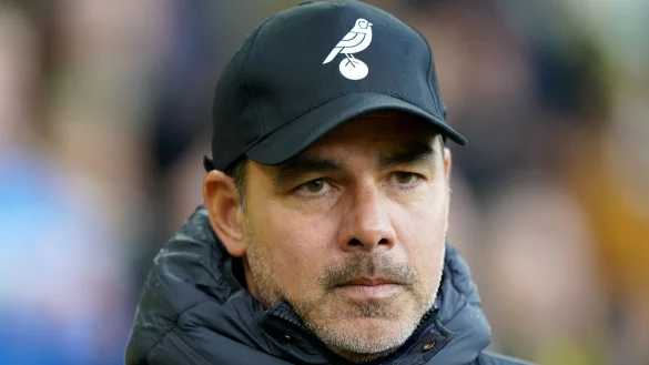 Startete mit einer Niederlage als Trainer von Norwich City: David Wagner. - &copy; Joe Giddens/PA Wire/dpa