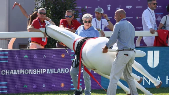 Zwei wei&szlig;e Pferde im Parcours sorgten wenige Stunden vor dem Start der Reit-WM f&uuml;r Aufregung. - &copy; Friso Gentsch/dpa