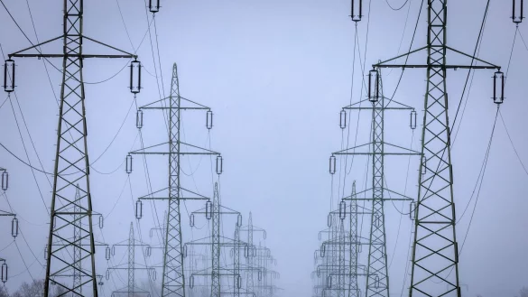 Um mehr Anreize für Investitionen zu bieten, will die Bundesnetzagentur die Eigenkapitalverzinsung erhöhen. - © Jens Büttner/dpa