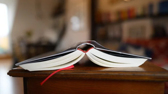 Junge Niederländer greifen einer Umfrage zufolge wieder häufiger zu einem Buch als früher. - © Robert Michael/dpa