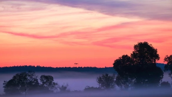 Morgenr&ouml;te im baden-w&uuml;rttembergischen Riedlingen. - &copy; Thomas Warnack/dpa