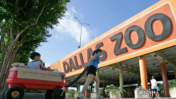 Der Eingang zum Dallas Zoo. In dem Zoo im US-Bundesstaat Texas h&auml;ufen sich seit einigen Wochen r&auml;tselhafte Vorf&auml;lle. - &copy; Steve Helber/AP/dpa