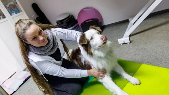 Massieren geh&ouml;rt zum Joballtag: Tierphysiotherapeutin Julia Neumann wei&szlig;, wo beim Hund die Muskeln sitzen. - &copy; Markus Scholz/dpa-tmn