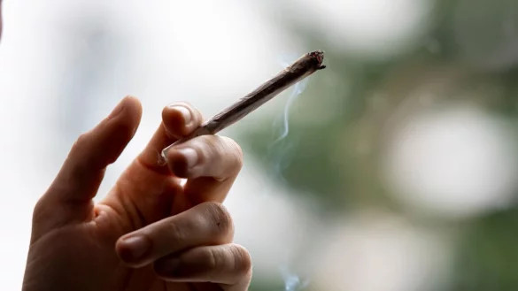 Nach Auffassung des Drogenbeauftragten Burkhard Blienert hat die kontrollierte Freigabe von Cannabis zum Ziel, die Gesundheitsrisiken zu reduzieren. - &copy; Fabian Sommer/dpa