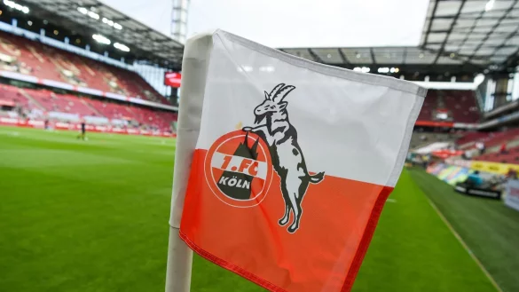 Der 1. FC Köln hat in der vergangenen Saison eine positive Bilanz erzielt. - © Christophe Gateau/dpa