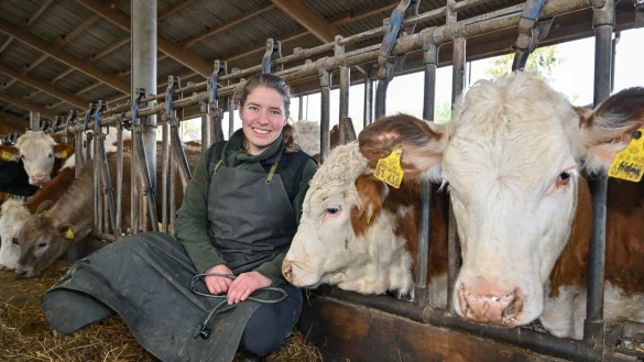 Zu dem Beruf gehört auch viel Handwerk. «Die praktischen Elemente der Arbeit am Tier kommen im Studium aber viel zu kurz», kritisiert Tierärztin Lisanne Tesch. - © Patrick Pleul/dpa