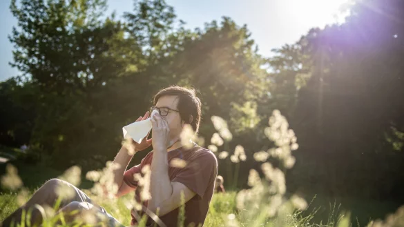 Von Gr&auml;sern und Birke stammen Pollen, auf die besonders viele Menschen reagieren. - &copy; Zacharie Scheurer/dpa-tmn