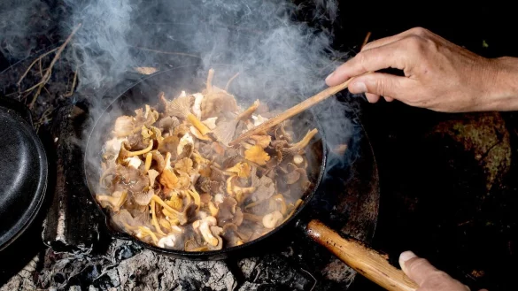 Genau pr&uuml;fen, was da in die Pfanne wandert: Wer im Wald Pilze gesammelt hat, sollte sich absichern - zum Beispiel durch die Einsch&auml;tzung eines Pilzsachverst&auml;ndigen. - &copy; Zacharie Scheurer/dpa-tmn