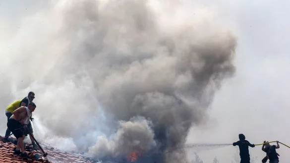 Freiwillige bek&auml;mpfen einen Waldbrand in der N&auml;he von Athen. - &copy; Marios Lolos/Xinhua/dpa