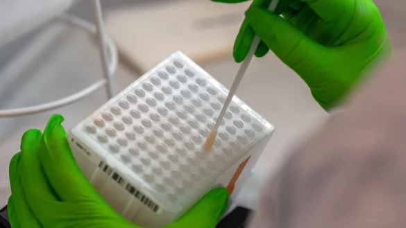 Ab dem 61. Geburtstag kommen Menschen nicht mehr für die Stammzellenspende in Frage. - © Robert Michael/dpa-Zentralbild/dpa