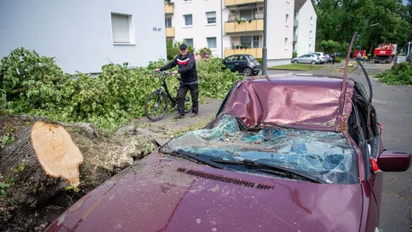 Ein Mann steht an einem durch einen umgest&uuml;rzten Baum zerst&ouml;rten Auto. - &copy; Lino Mirgeler/dpa