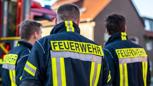 Feuerwehrleute stehen zusammen, um den Einsatz zu besprechen. - &copy; David Inderlied/dpa/Symbolbild