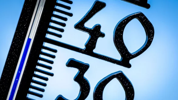 Laut RKI-Bericht sorgt die globale Erderw&auml;rmung in Deutschland nicht nur f&uuml;r gef&auml;hrliche Hitzewellen, sie kann k&uuml;nftig auch das Risiko f&uuml;r Infektionskrankheiten erh&ouml;hen. - &copy; Jens B&uuml;ttner/dpa