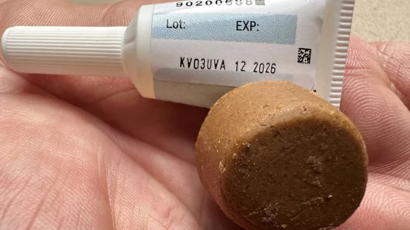 Neben speziellen Halsb&auml;ndern sind die beliebtesten Darreichungsformen Spot-on-Pr&auml;parate f&uuml;rs Fell und Tabletten. - &copy; Katja Sponholz/dpa-tmn