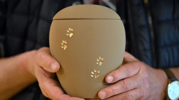 Dem Bundesverband der Tierbestatter zufolge sterben in Deutschland im Schnitt j&auml;hrlich etwa 1,3 Millionen Hunde und Katzen. - &copy; Martin Schutt/dpa