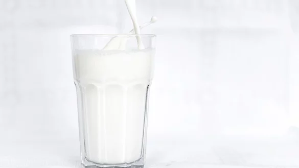 Wegen des hohen Preises ist die Nachfrage nach Milch gesunken. Mit den Erzeugerpreisen könnten daher auch die Verkaufspreise bald nach unten gehen. - © Sina Schuldt/dpa