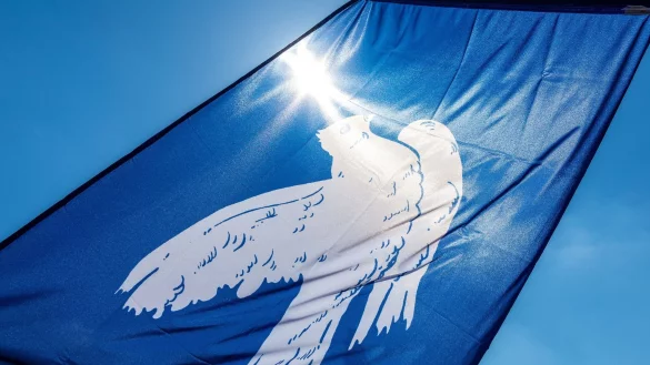 Eine Fahne mit einer Friedenstaube verdeckt die Sonne. - &copy; Frank Hammerschmidt/dpa/Symbolbild