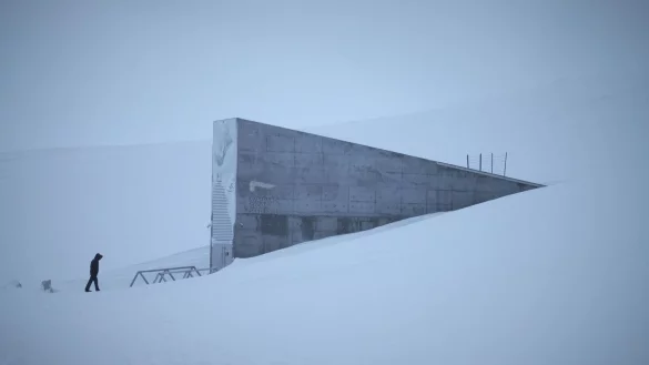 Der Eingang zum globalen Saatguttresor auf Spitzbergen ragt in der Nähe des Polarstädtchens Longyearbyen aus der verschneiten Berglandschaft empor. - © Steffen Trumpf/dpa/dpa-tmn