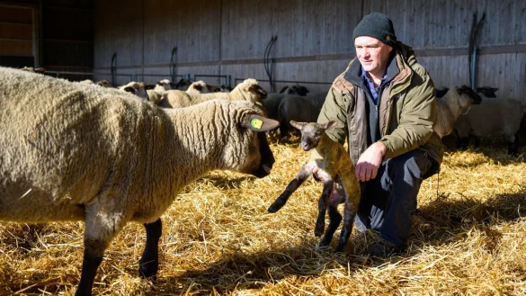 Stefan Erb, Sch&auml;fer, h&auml;lt ein wenige Minuten altes Lamm in den H&auml;nden. - &copy; Philipp Schulze/dpa