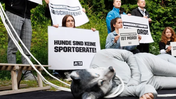 Die Tierschutzorganisation Peta protestiert vor dem Gericht. - &copy; Julian Rettig/dpa