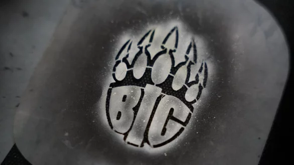 Dank der Meisterschaft d&uuml;rften BIGs Academyspieler theoretisch bei der IEM Cologne antreten. - &copy; Benedikt Wenck/dpa