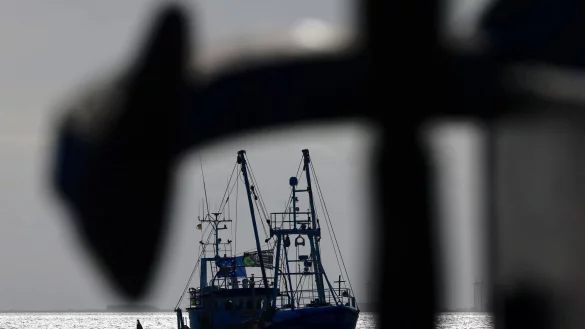 Die Agrarminister und -Ministerinnen haben sich gegen ein pauschales Verbot der Fischerei mit Grundschleppnetzen ausgesprochen. - &copy; Frank Molter/dpa