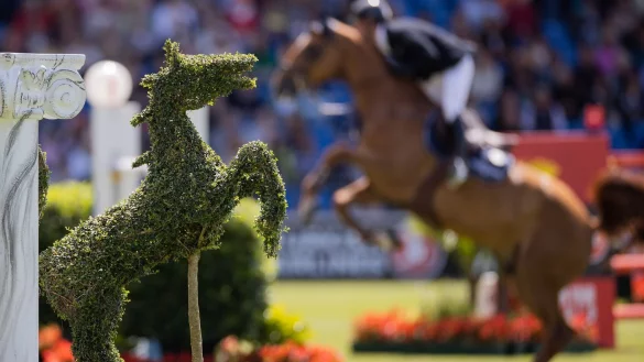 Pferdesport, Springen: CHIO, Preis von Nordrhein-Westfalen. - &copy; Rolf Vennenbernd/dpa