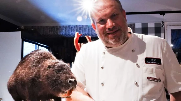 Koch Johannes Siemes wei&szlig; wie man Nutria zubereitet. Nutrias vermehren sich rasant in Deutschland, sind auf dem Teller aber noch selten. - &copy; Ann-Marie Utz/dpa