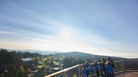 F&uuml;r alle: Der Waldwipfelweg ist barrierefrei und somit auch Kinderwagen oder Rollstuhl befahrbar. - &copy; Stefanie Felgenhauer/Woidlife Photography/Tourist-Information Sankt Englmar/dpa-tmn