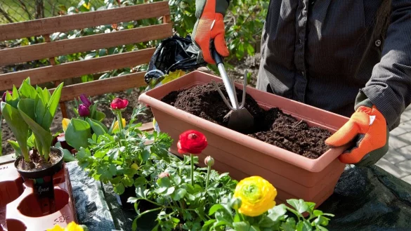 Torfhaltige Erde f&uuml;r die Blumenk&auml;sten ist gut f&uuml;r die Pflanzen, aber schlecht f&uuml;r die Umwelt. Es gibt aber Alternativen. - &copy; Kai Remmers/dpa-tmn