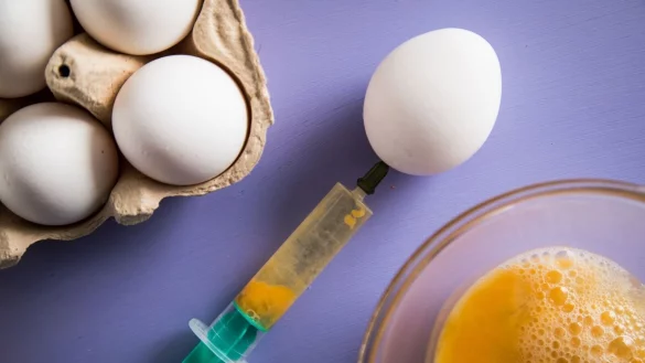 Das spart Puste: Dotter und Eiwei&szlig; lassen sich mit einer Einwegspritze aus den Eiern ziehen. - &copy; Christin Klose/dpa-tmn