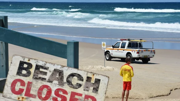 In den Gew&auml;ssern vor Australien tummeln sich drei Arten von Hammerhaien. Um welche Art es sich am Palm Beach handelte, ist unklar (Archibild). - &copy; Dave Hunt/AAP/dpa