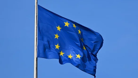 Im März will die EU-Chemikalienagentur (ECHA) prüfen, ob Verbote mit EU-Recht vereinbar sind - © Monika Skolimowska/dpa